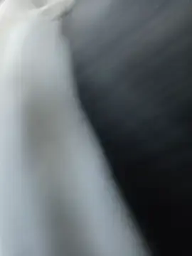 Stripchat Watch Live Sex Cams of LiveCam88