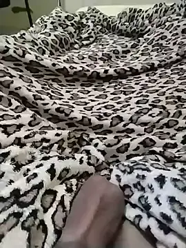 Stripchat Best Webcam of Novinhoie