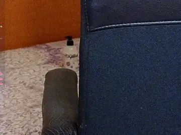 Stripchat Live Sex Cam of ChristiHanson