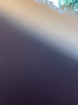 Stripchat Free Porn Cam of Bellaa25