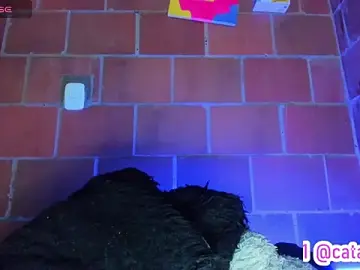 Stripchat Free Live Porn of Cata-angel