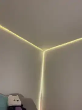 Stripchat Sex Chat of AmmyCollinsW