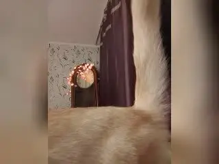 Xlovecam Sex Cam of AvaQueen